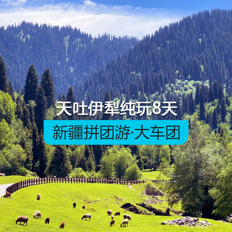 【新疆拼團(tuán)游·大車團(tuán)】北疆天池吐魯番伊犁草原賽里木湖湖獨庫公路純玩8日游（景點包含：賽里木湖+霍爾果斯口岸+薰衣草+庫爾德寧+那拉提草原+獨庫公路北段+天池+吐魯番）線路編號：11277