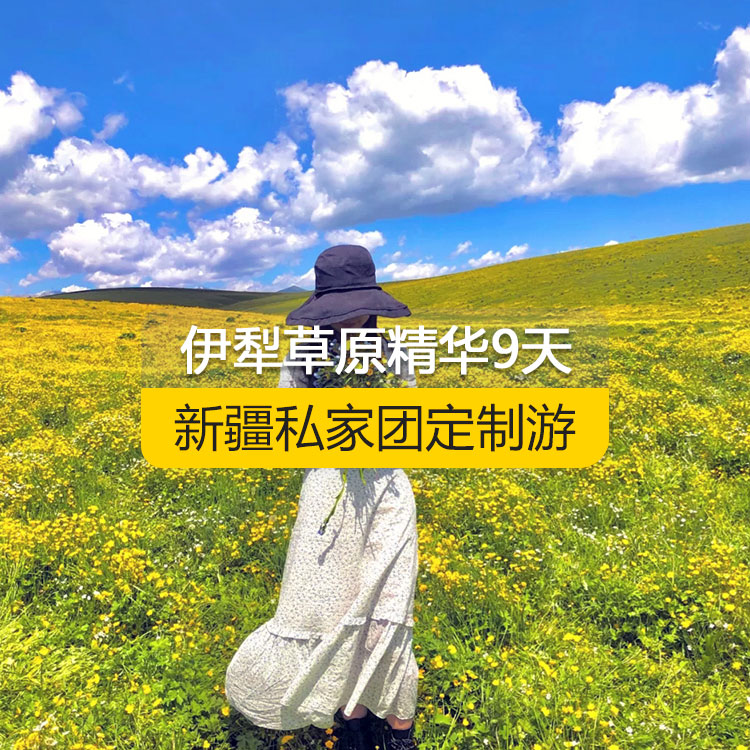 【新疆·北疆·私家團(tuán)定制游·9天8晚】北疆伊犁精華純玩9日游（景點包含：獨山子大峽谷+賽里木湖+解憂公主薰衣草農(nóng)場+喀贊其民俗區(qū)+伊昭公路+昭蘇濕地公園+夏塔古道+喀拉峻+特克斯八卦城+那拉提空中草原+巴音布魯克天鵝湖+獨庫公路+唐布拉百里畫廊+S101省道+國際大巴扎）產(chǎn)品編號 : 11336