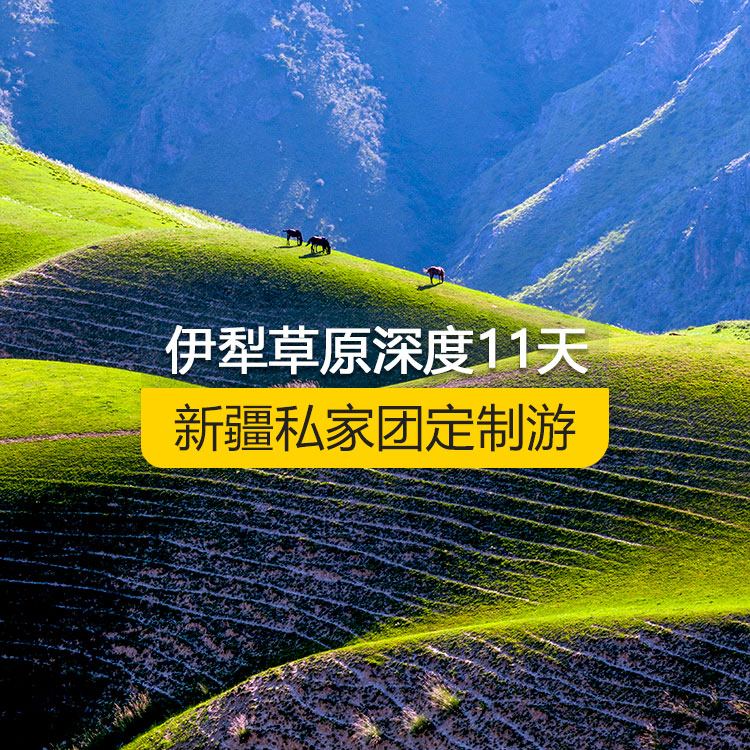 【新疆·北疆·私家團(tuán)定制游·11天10晚】北疆伊犁草原全景深度純玩11日游（景點包含：獨山子大峽谷+賽里木湖+解憂公主薰衣草農(nóng)場+伊昭公路+昭蘇濕地公園天馬浴河+夏塔古道+昭蘇油菜花（途觀）+瓊庫什臺村+喀拉峻+特克斯八卦城+庫爾德寧+恰西景區(qū)+那拉提空中草原+巴音布魯克+獨庫公路+唐布拉百里畫廊+S101省道丹霞風(fēng)光+國際大巴扎）產(chǎn)品編號 : 11334