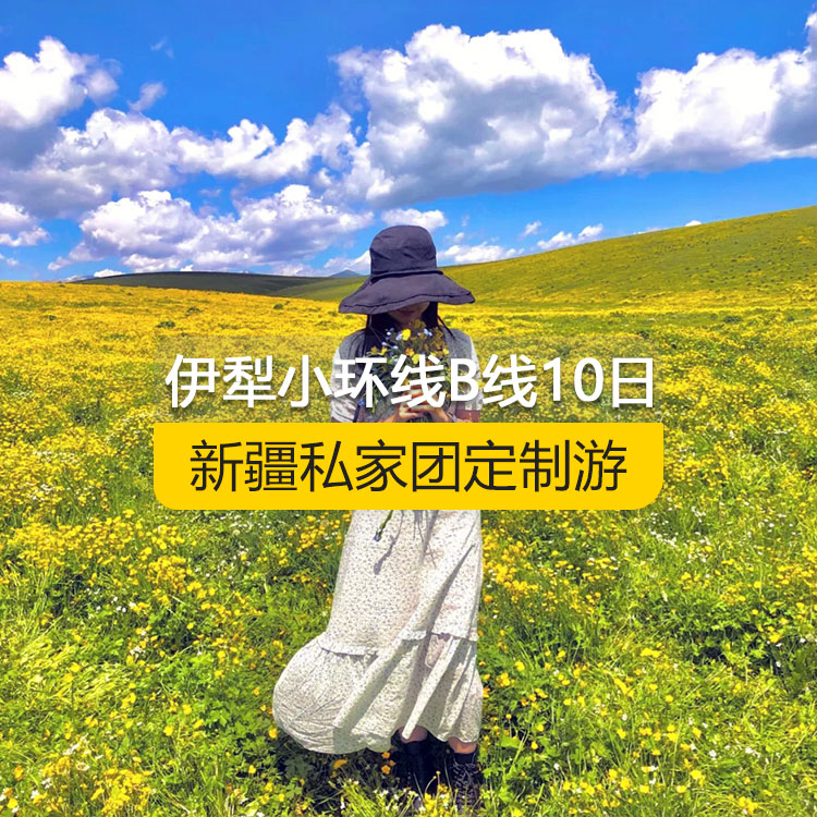 【新疆私家團定制游】北疆伊犁小環(huán)線純玩B線10日游（烏魯木齊起止）產品編號 : 11336